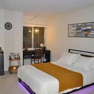 Homestay Private & Bathroom In Shared Oceanfront Home, Marina Del Rey, Los Angeles